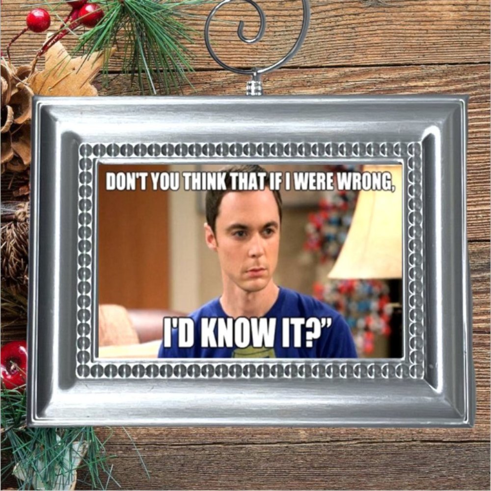 The Big Bang Theory‎ Sheldon Cooper IF I WERE WRONG Christmas Ornament